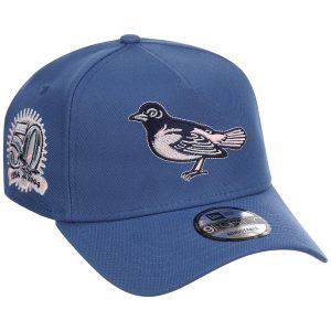 Baltimore Orioles MLB Pink Indigo New Era 9FORTY